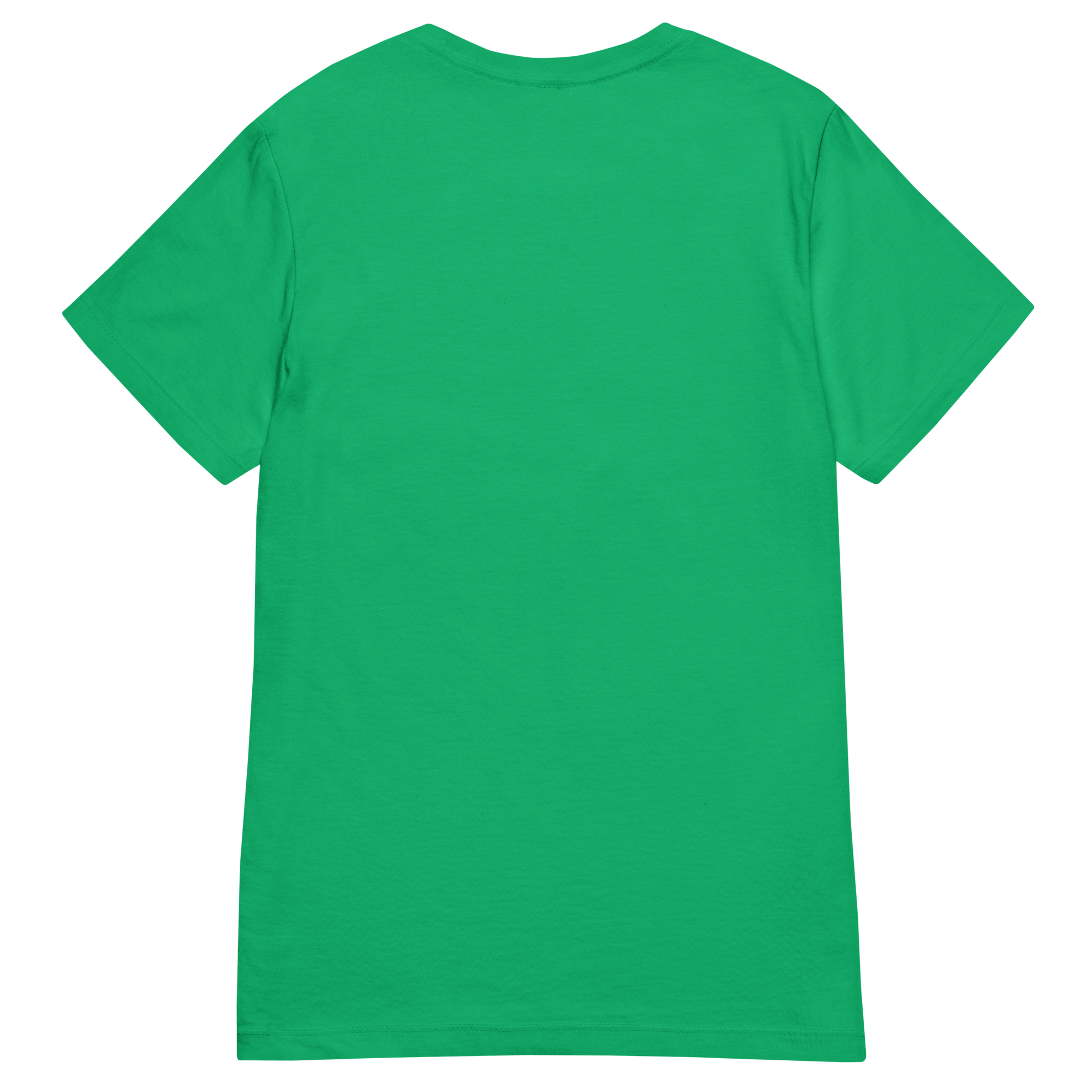 T-shirt cintré en coton vert menthe imprimé “Panscro” de Paradis Perdus® 4 Le KRUSH workshop boutique T-shirt cintré en coton vert menthe imprimé “Panscro” de Paradis Perdus® posé à plat de dos